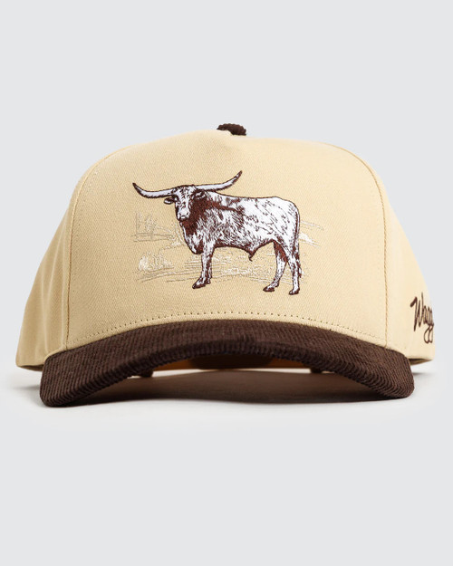 Vist Large View of Product Image Which is New STEER CORDUROY HAT