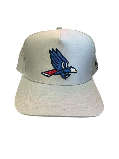 Vist Large View of Product Image Which is New THE PATRIOT HAT