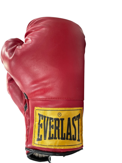 Vist Large View of Product Image Which is Used Everlast Boxing Gloves Red XL