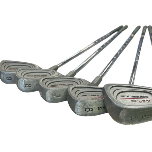 Vist Large View of Product Image Which is Used PRO IMAGE Mens Iron Set LH 6I-PW