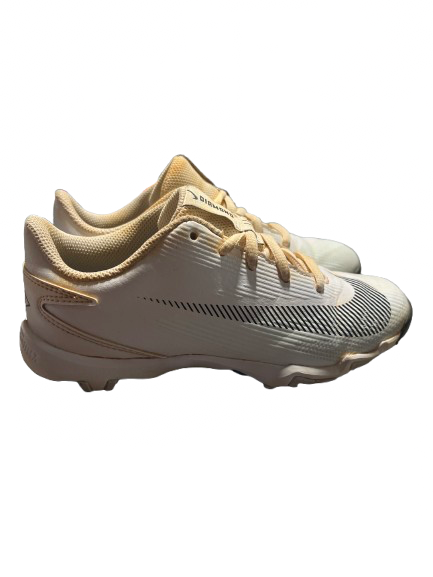 Vist Large View of Product Image Which is Used Nike NIKE DIAMOND 2.5Y BB/SB Cleats White Junior 02.5