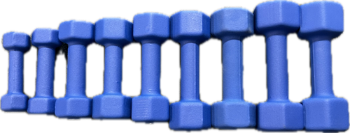 Vist Large View of Product Image Which is New DUMBBELL NEOPRENE 6LB