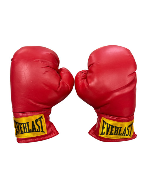 Vist Large View of Product Image Which is Used Everlast Boxing Gloves Red SM