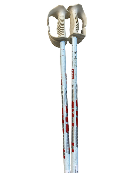 Vist Large View of Product Image Which is Used Elan FAS Mens DH Ski Pole White 120 cm / 48 in