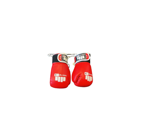 Vist Large View of Product Image Which is Used Boxing Gloves Red SM