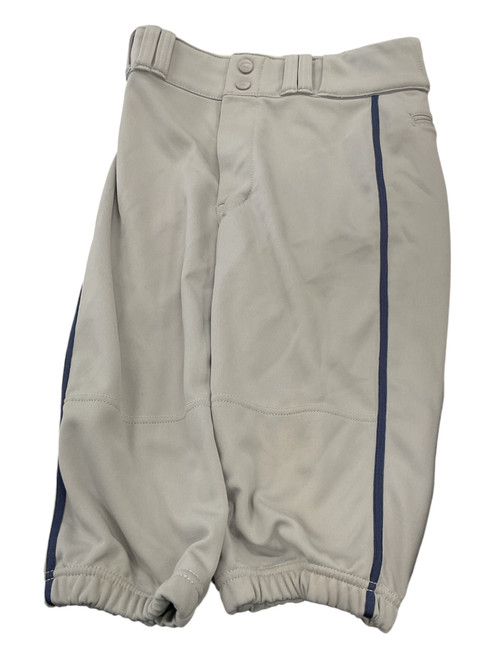 Vist Large View of Product Image Which is Used Champro BASEBALL PANT BB/SB Pant Boys Grey LG