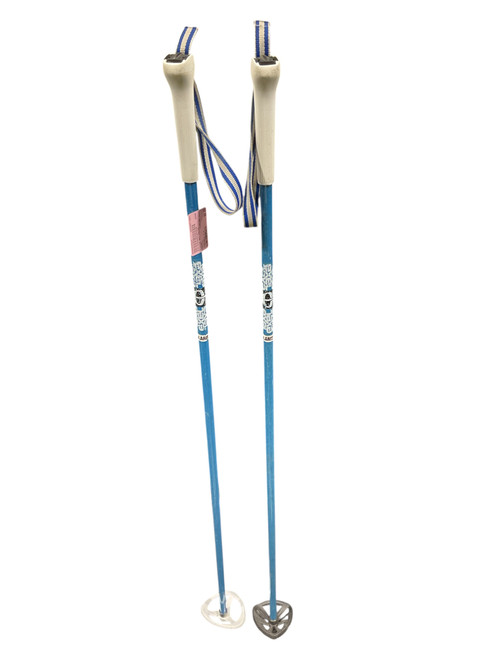 Vist Large View of Product Image Which is Used Alpine SKI POLES Mens DH Ski Pole Royal Blue 125 cm / 50 in