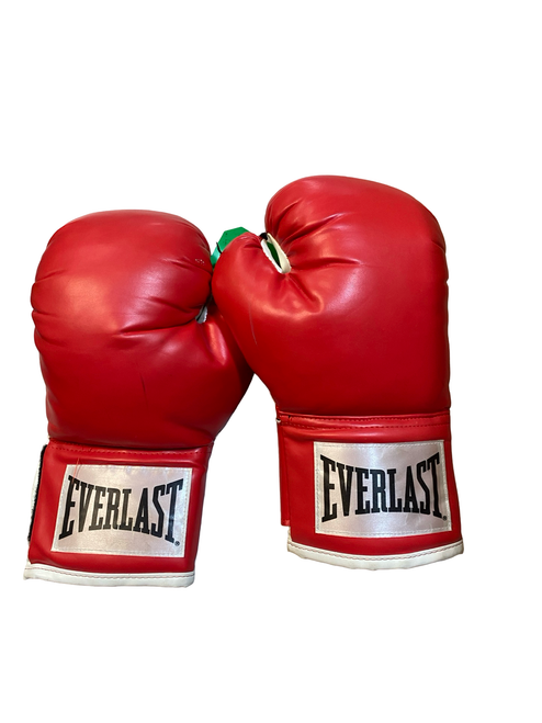 Vist Large View of Product Image Which is Used Everlast Boxing Gloves Red MD