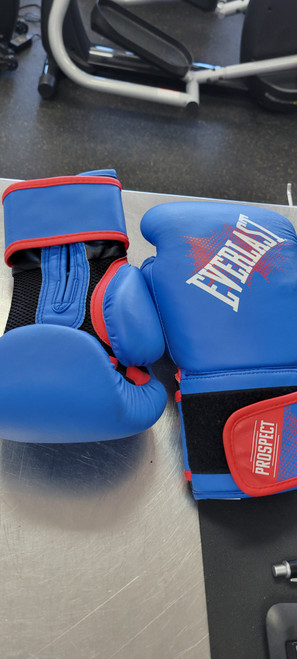 Vist Large View of Product Image Which is Used Everlast Boxing Gloves Royal Blue SM