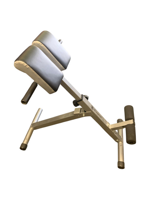 Vist Large View of Product Image Which is Used Stamina AB BENCH Ab Bench