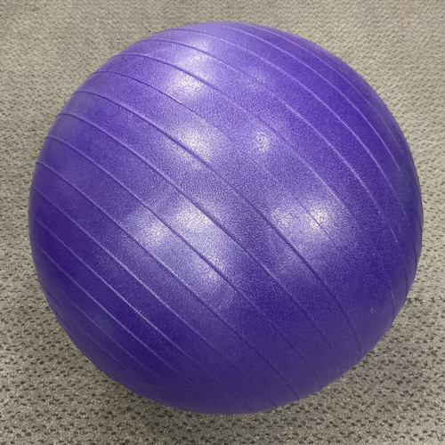 Vist Large View of Product Image Which is Used Gaiam Body/Fit Ball Purple 55 cm