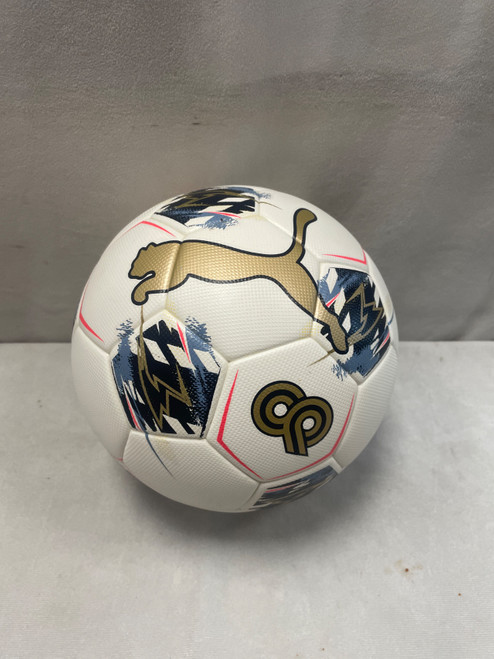 Vist Large View of Product Image Which is Used Puma CHRISTAN PULISIC CP10 ULTRA All Size Soccer Ball White 5