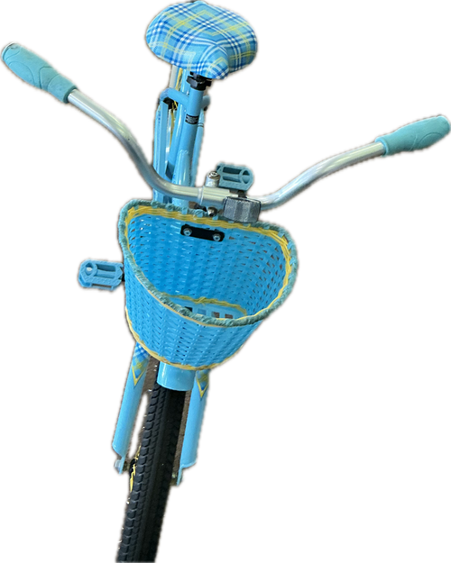 Vist Large View of Product Image Which is Used LA JOLLA ALUMINUM Cruiser Bike Girls Carolina Blue 16"