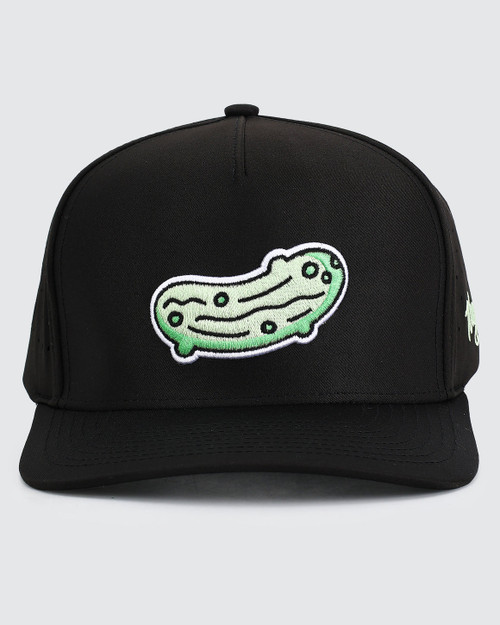 Vist Large View of Product Image Which is New Pickled Snapback Hat
