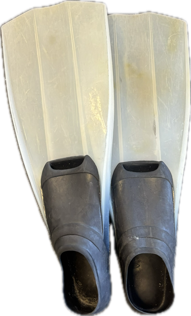 Vist Large View of Product Image Which is Used Underwater Fins White LG