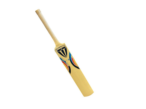Vist Large View of Product Image Which is Used Fearnley Legend Cricket Bat