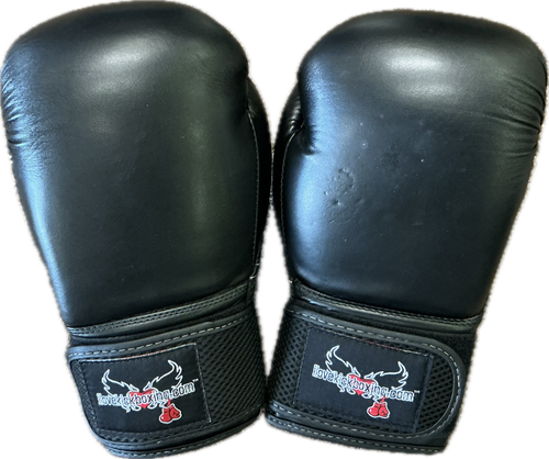 Vist Large View of Product Image Which is Used Century Boxing Gloves Black Senior