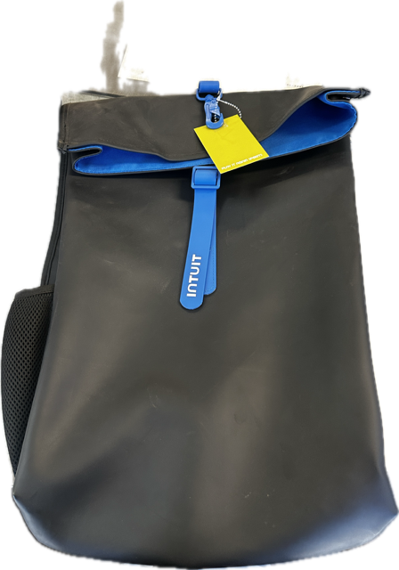 Vist Large View of Product Image Which is Used INTUIT BK Backpack Black