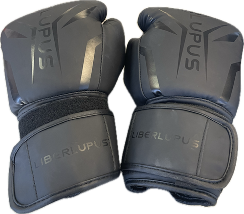 Vist Large View of Product Image Which is Used Boxing Gloves Black Senior