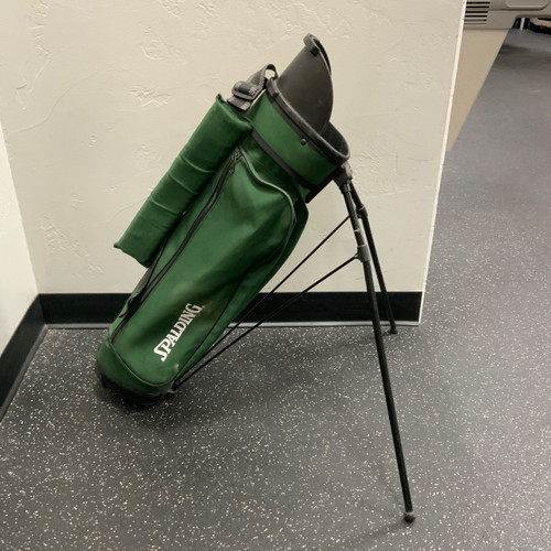 Vist Large View of Product Image Which is Used Spalding Jr Stand Bag Green