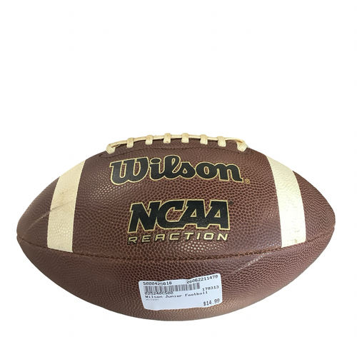 Vist Large View of Product Image Which is Used Wilson Junior Football