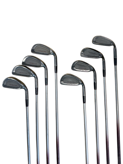 Vist Large View of Product Image Which is Used KUNNAN Womens Iron Set RH 3I-PW