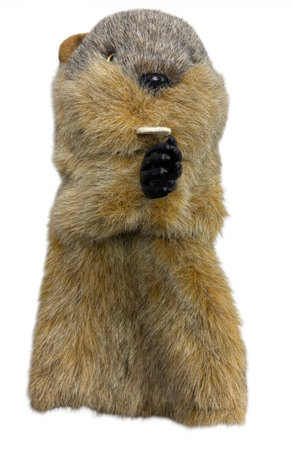 Vist Large View of Product Image Which is Used HEAD COVER Golf Accessory