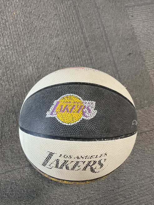 Vist Large View of Product Image Which is Used LOS ANGELES LAKERS BASKETBALL Basketball Adult Outdoor
