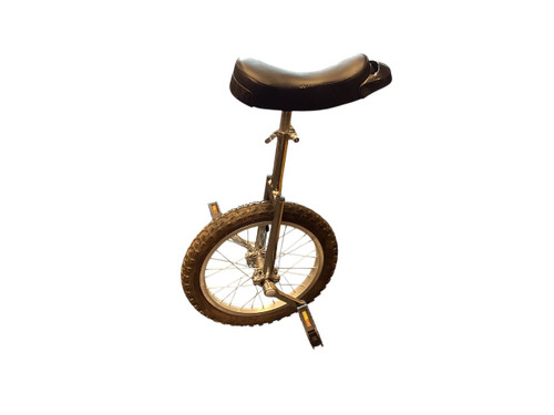 Vist Large View of Product Image Which is Used UNICYCLE CHROME 16 Other Bike