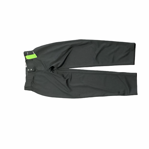 Vist Large View of Product Image Which is Used Nike BASEBALL PANTS BB/SB Pant Mens Black MD
