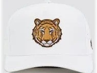 Vist Large View of Product Image Which is New WAGGLE STRIPED IT HAT