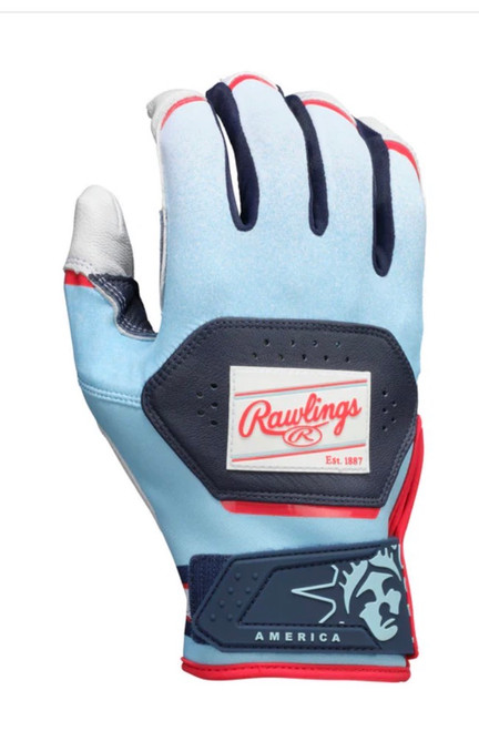 Vist Large View of Product Image Which is New YOUTH WORKHORSE AMERICA BATTING GLOVE