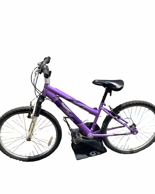 Vist Large View of Product Image Which is Used Rallye BIKE Mountain Bike Girls Purple 24"