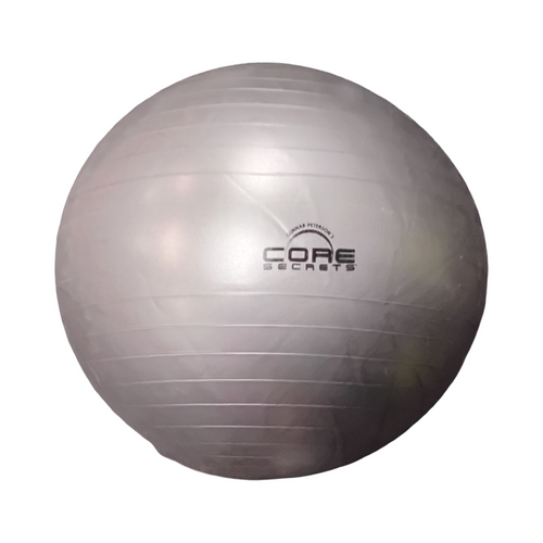 Vist Large View of Product Image Which is Used Body/Fit Ball Grey 55 cm