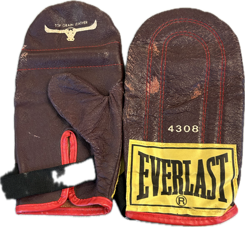 Vist Large View of Product Image Which is Used Everlast Speed Bag Gloves Brown Senior