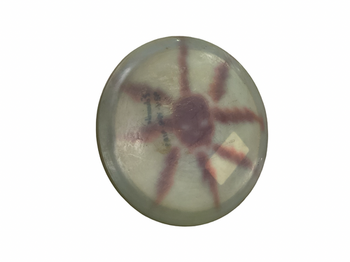Vist Large View of Product Image Which is Used Prodigy Disc 400 F7 Disc Golf Driver Grey