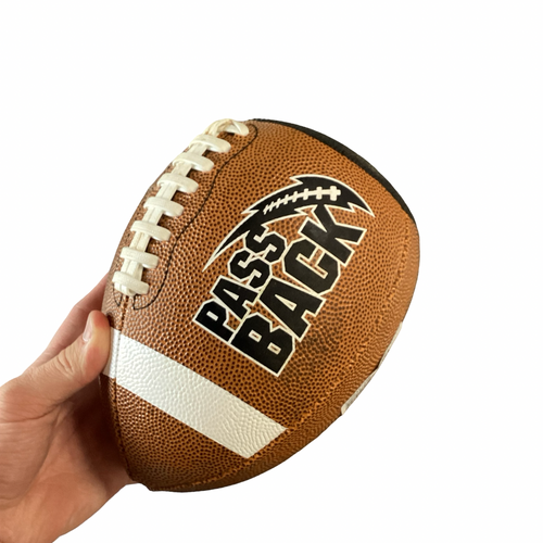 Vist Large View of Product Image Which is Used PASS BACK FOOTBALL FB Training Aid