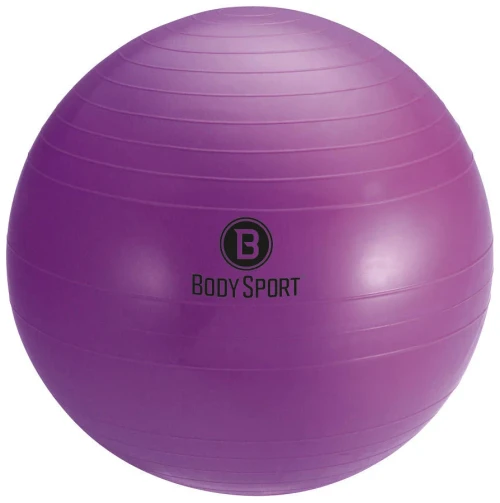 Vist Large View of Product Image Which is New Fitness Ball 45 CM PPL