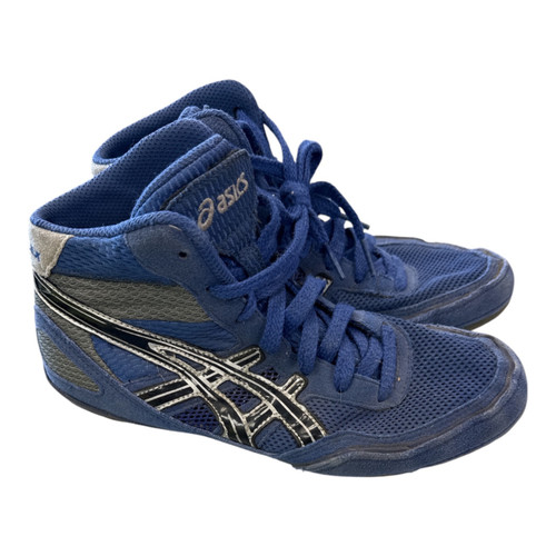 Vist Large View of Product Image Which is Wrestling shoes