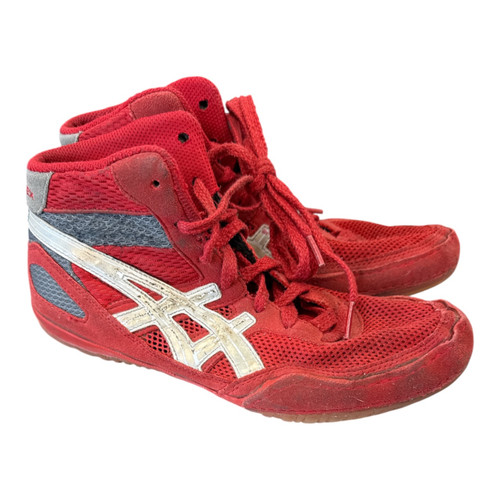 Vist Large View of Product Image Which is Wrestling shoes 