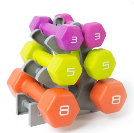Vist Large View of Product Image Which is New 32LB NEOPRENE DB SET W/RAC