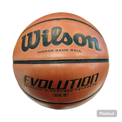 Vist Large View of Product Image Which is Used Wilson EVOLUTION Basketball Womens Indoor