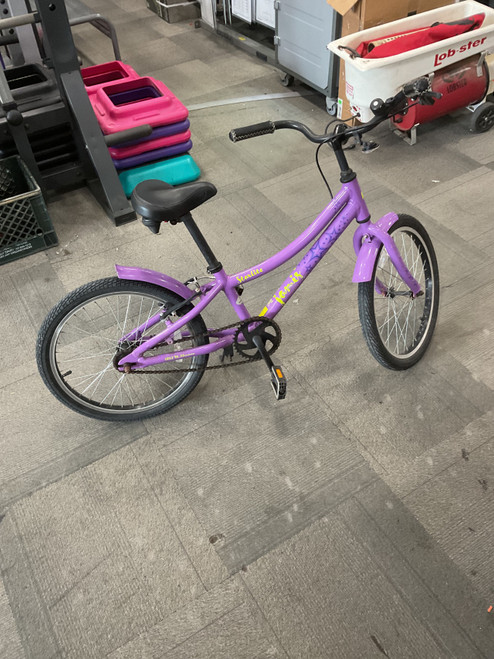 Vist Large View of Product Image Which is Used Jamis STARLIGHT Cruiser Bike Girls Purple 20"