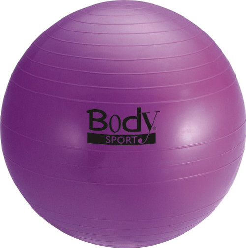 Vist Large View of Product Image Which is New BodySport FITNESS BALL Flex/Core Other