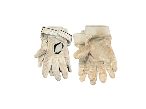 Vist Large View of Product Image Which is Used Evoshield BB/SB Batting Gloves White Youth