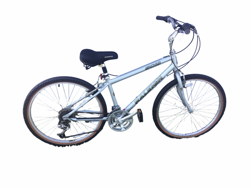 Vist Large View of Product Image Which is Used Raleigh SC40 Hybrid/City Bike Mens Grey 51-53cm - SM Mens Frame