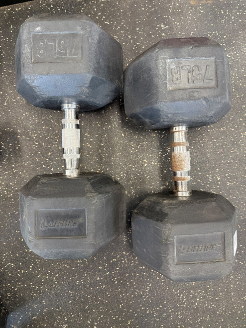 Vist Large View of Product Image Which is Used Lifeline 75LB LIFELINE RUBBER HEX DUMBBELL PAIR Hex Dumbbell 75 lb