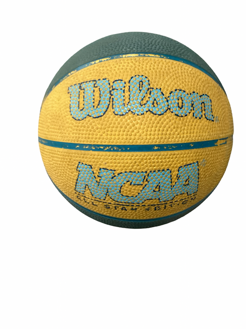 Vist Large View of Product Image Which is Used WSI Sports Basketball Youth Outdoor Child