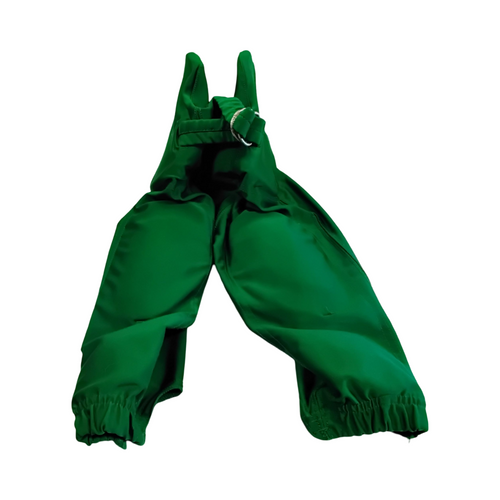 Vist Large View of Product Image Which is Used Champro Youth FB Integrated Pants Green SM