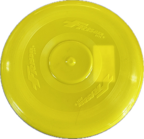 Vist Large View of Product Image Which is Used Frisbee Outdoor Game